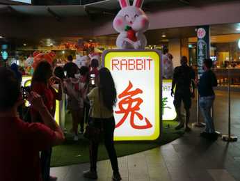 2023 Year of Rabbit in Digital Analytics  - Featured image
